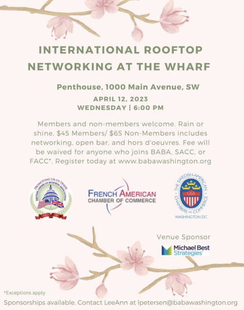 International Networking Event Flyer