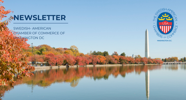 newsletter-headers-2024-1